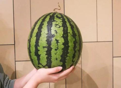 1吃瓜网,网络舆论风向标背后的故事