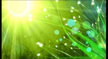 娱乐吃瓜视频背景素材,吃瓜视频背后的精彩故事